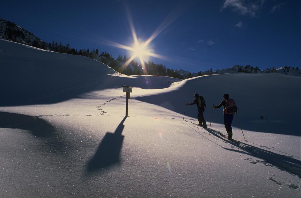 Edelweiss Apartments Schladming Eksteriør bilde